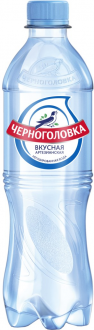 Вода питьевая ЧЕРНОГОЛОВКА артезианская негазированная, 0.5л (Россия, 0.5 L)