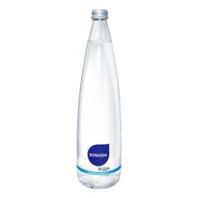 Вода питьевая артезианская Bonvida негазированная 750 мл