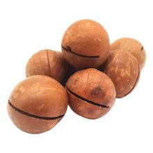 Орехи Макадамия в скорлупе