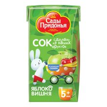 Сок детский Сады Придонья яблоко-вишня пастеризованный с 5 месяцев 125 мл