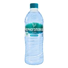 Вода питьевая артезианская Черноголовка негазированная 500 мл