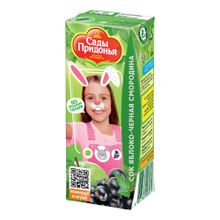 Сок детский Сады Придонья яблоко-черная смородина осветленный с 5 месяцев 200 мл